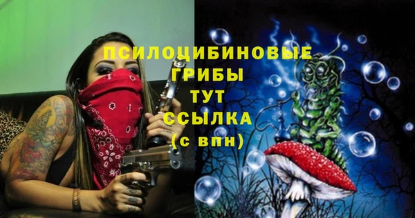 спиды Каменск-Шахтинский